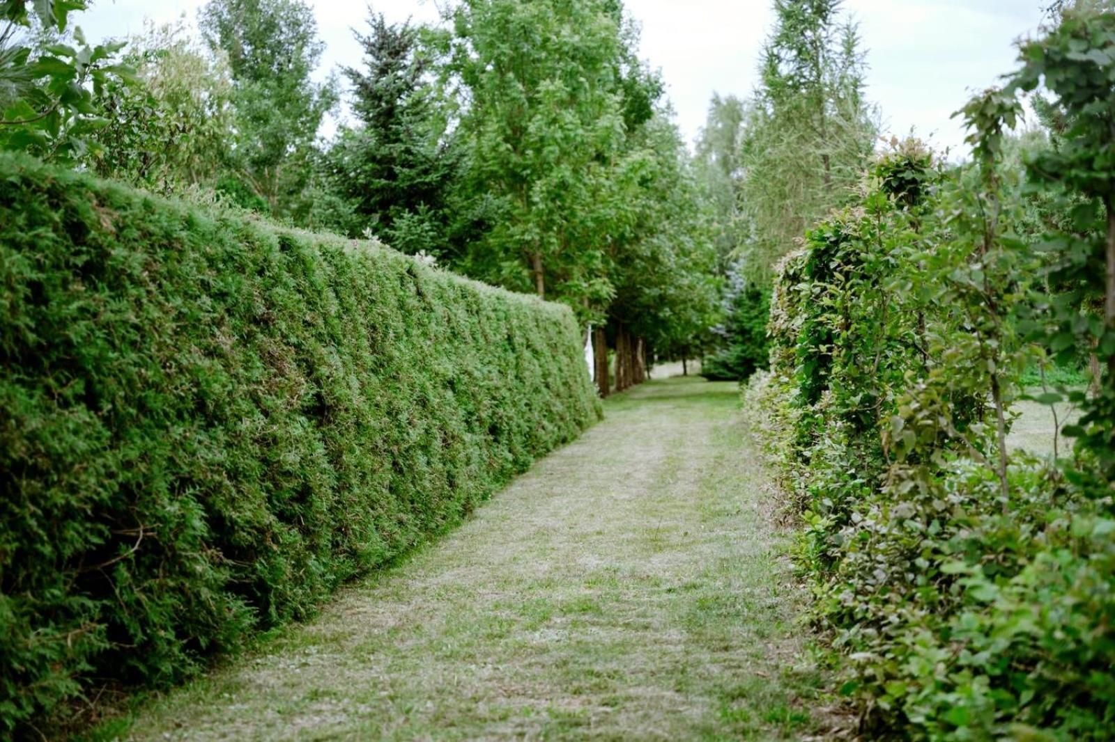 Zielona Parcela Pisz Exterior foto
