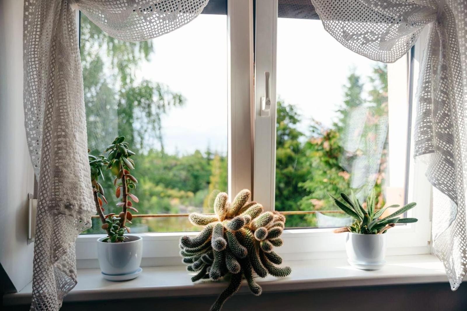 Zielona Parcela Pisz Exterior foto